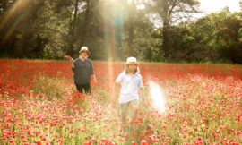 Poppy-Flowers-Photographie-Rognes-Provence-TheMoonlightStudios