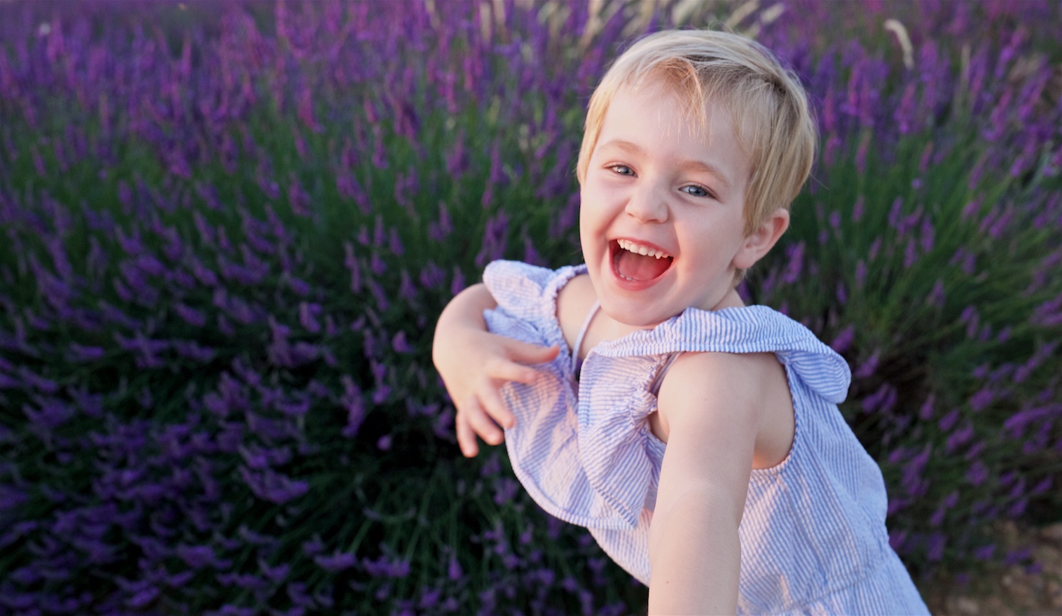 Photographie-Lavende-Provence-TheMoonlightStudios3 Photographie-Lavende-Provence-TheMoonlightStudios3